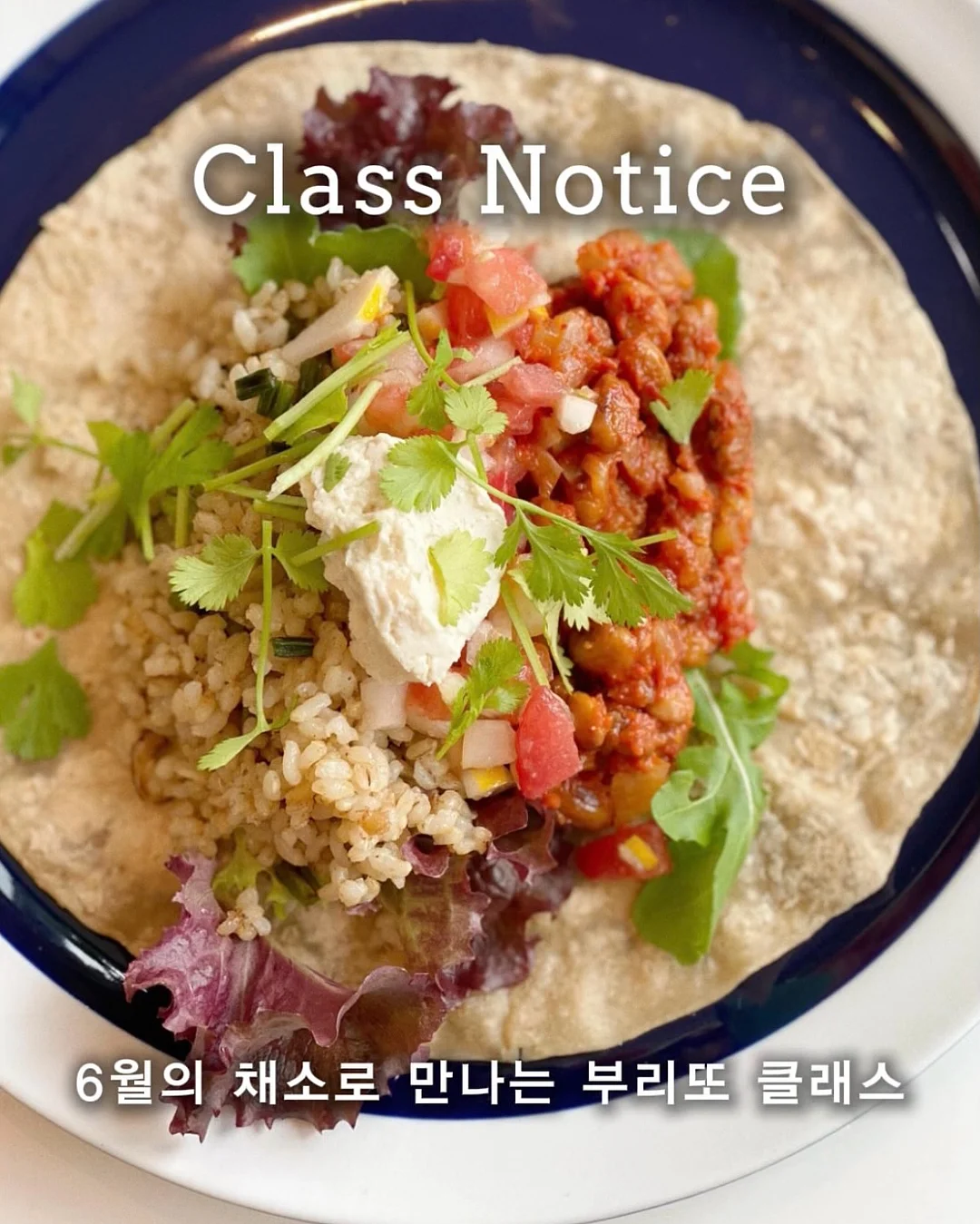 블루필 넥쿨러 1