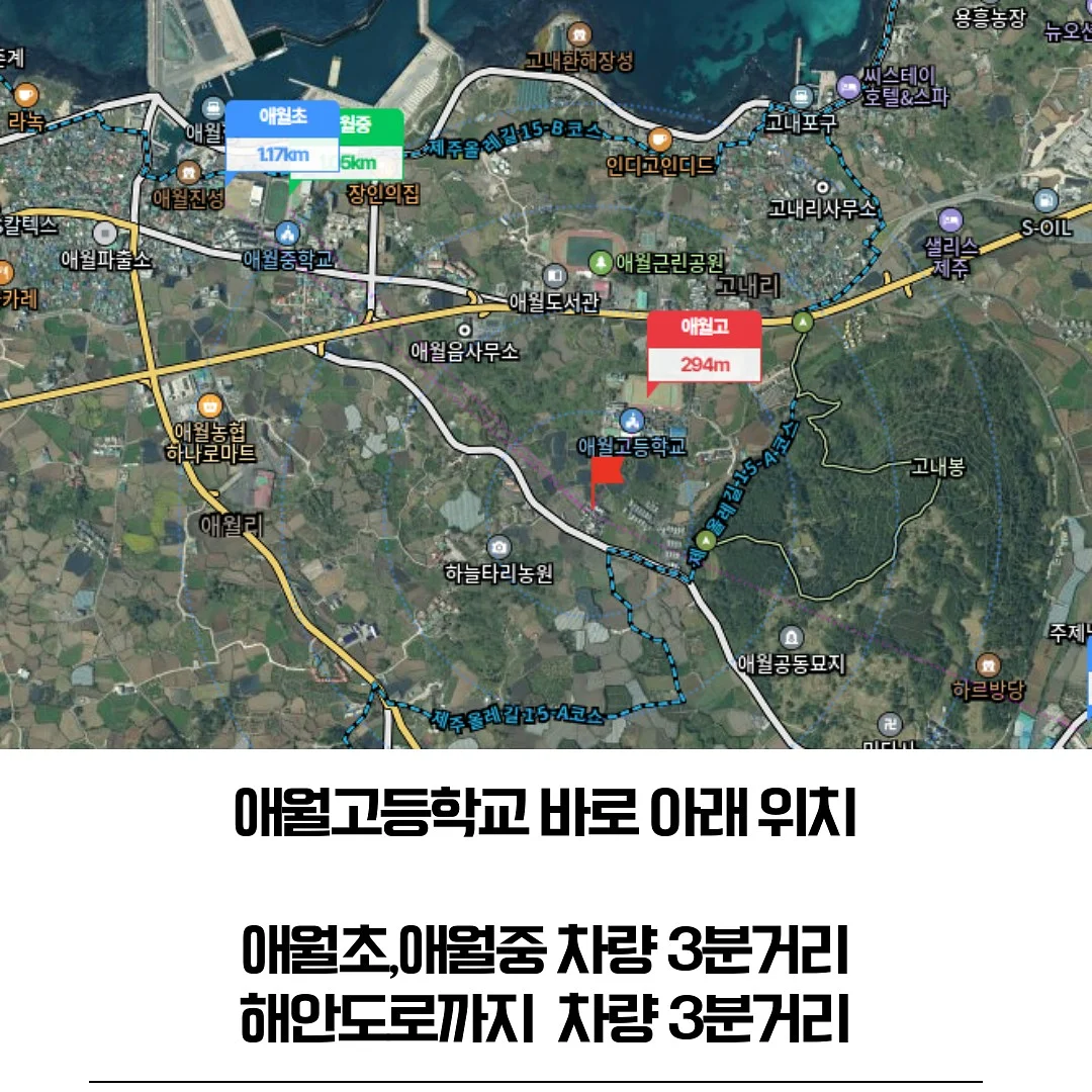 루이스미샤 수영복 3