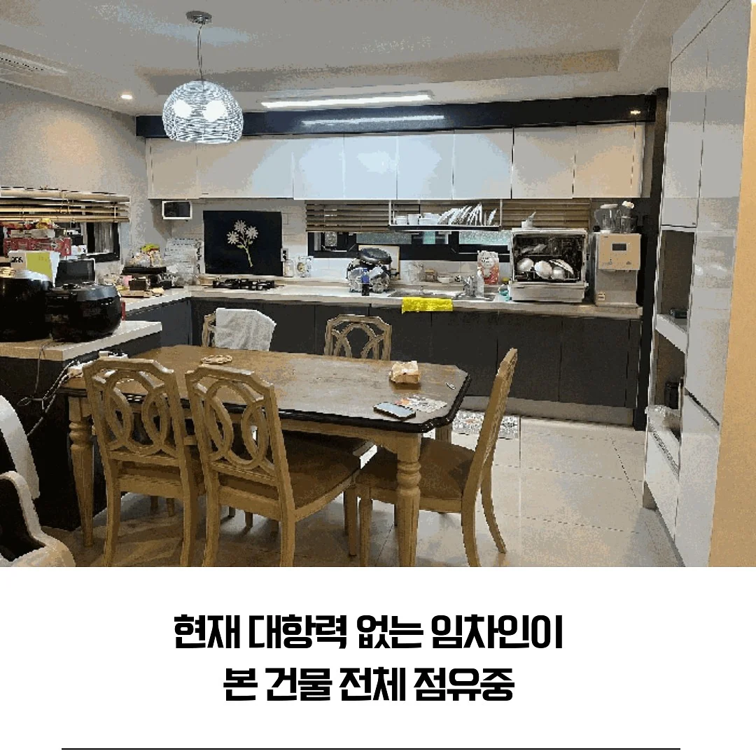 루이스미샤 수영복 5