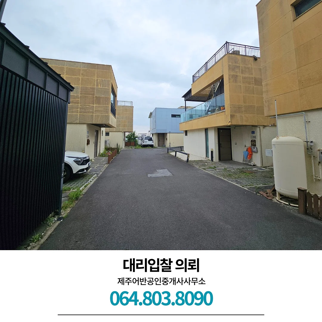 루이스미샤 수영복 8