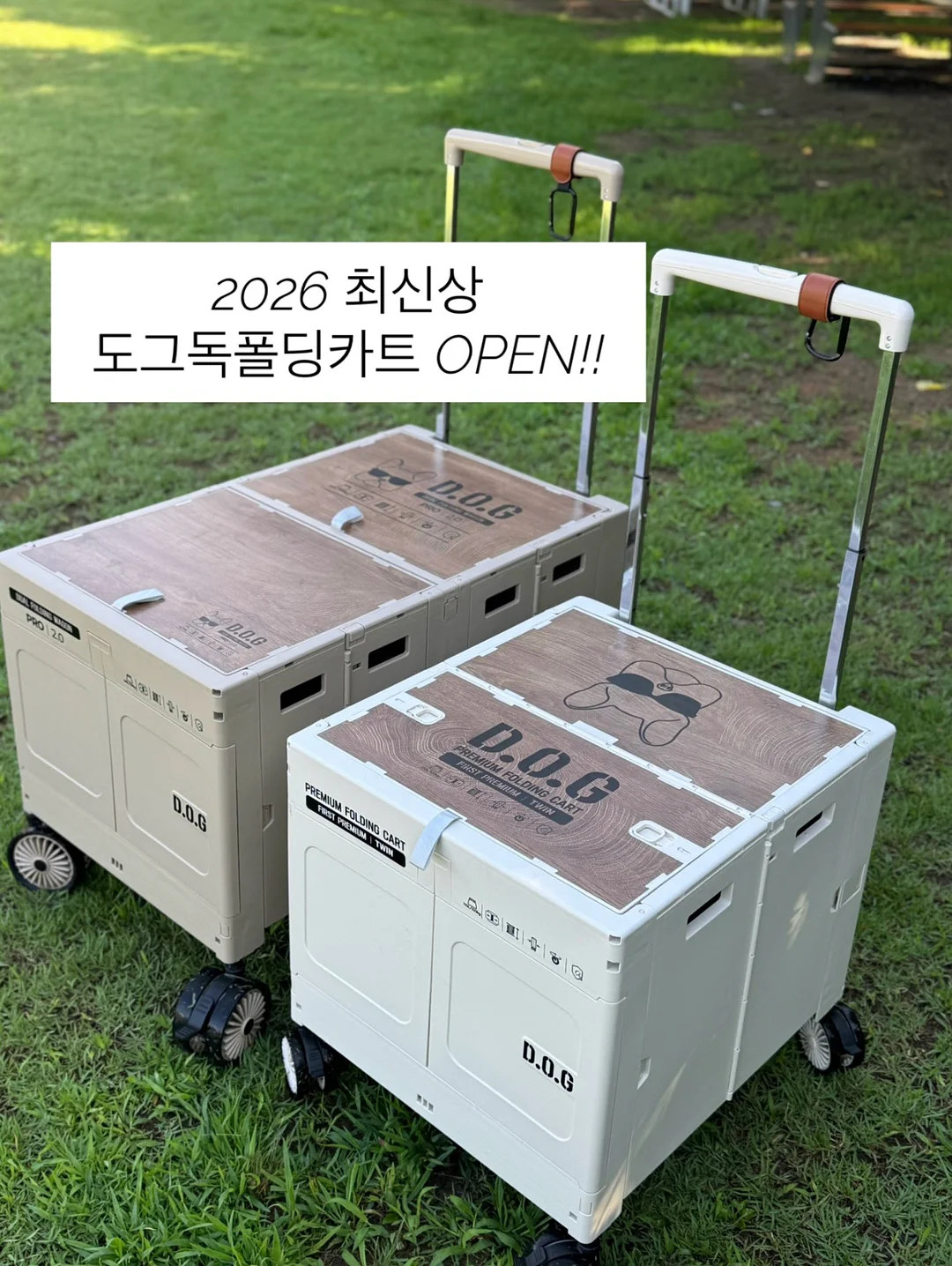 라코니 여름샐러드 판짜넬라 1
