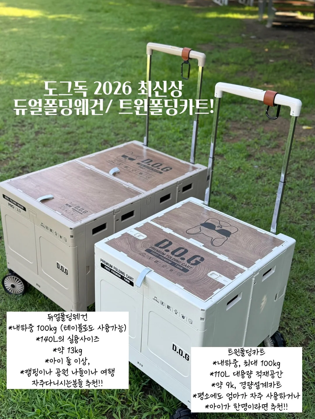 라코니 여름샐러드 판짜넬라 3