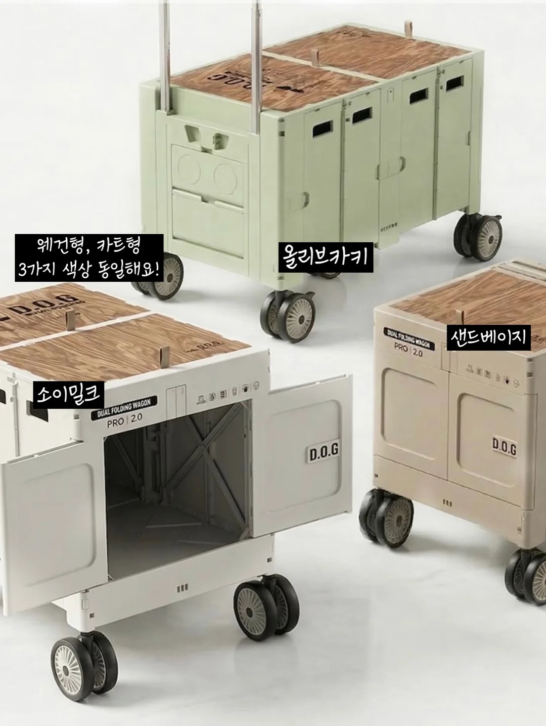 라코니 여름샐러드 판짜넬라 10