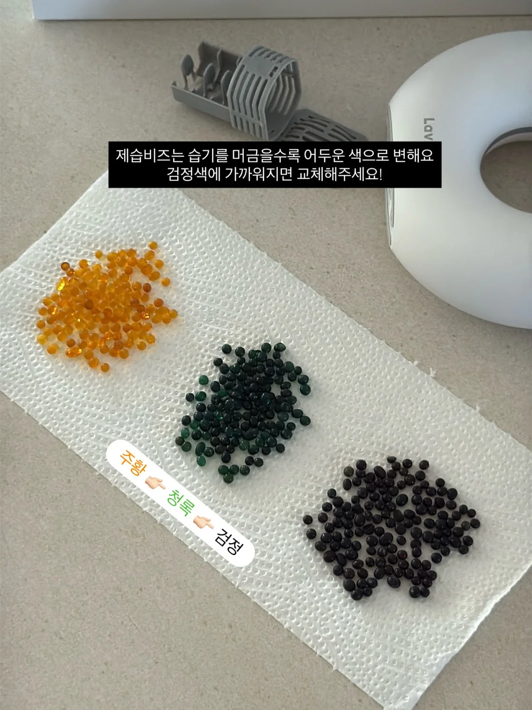 봄동장아찌 11