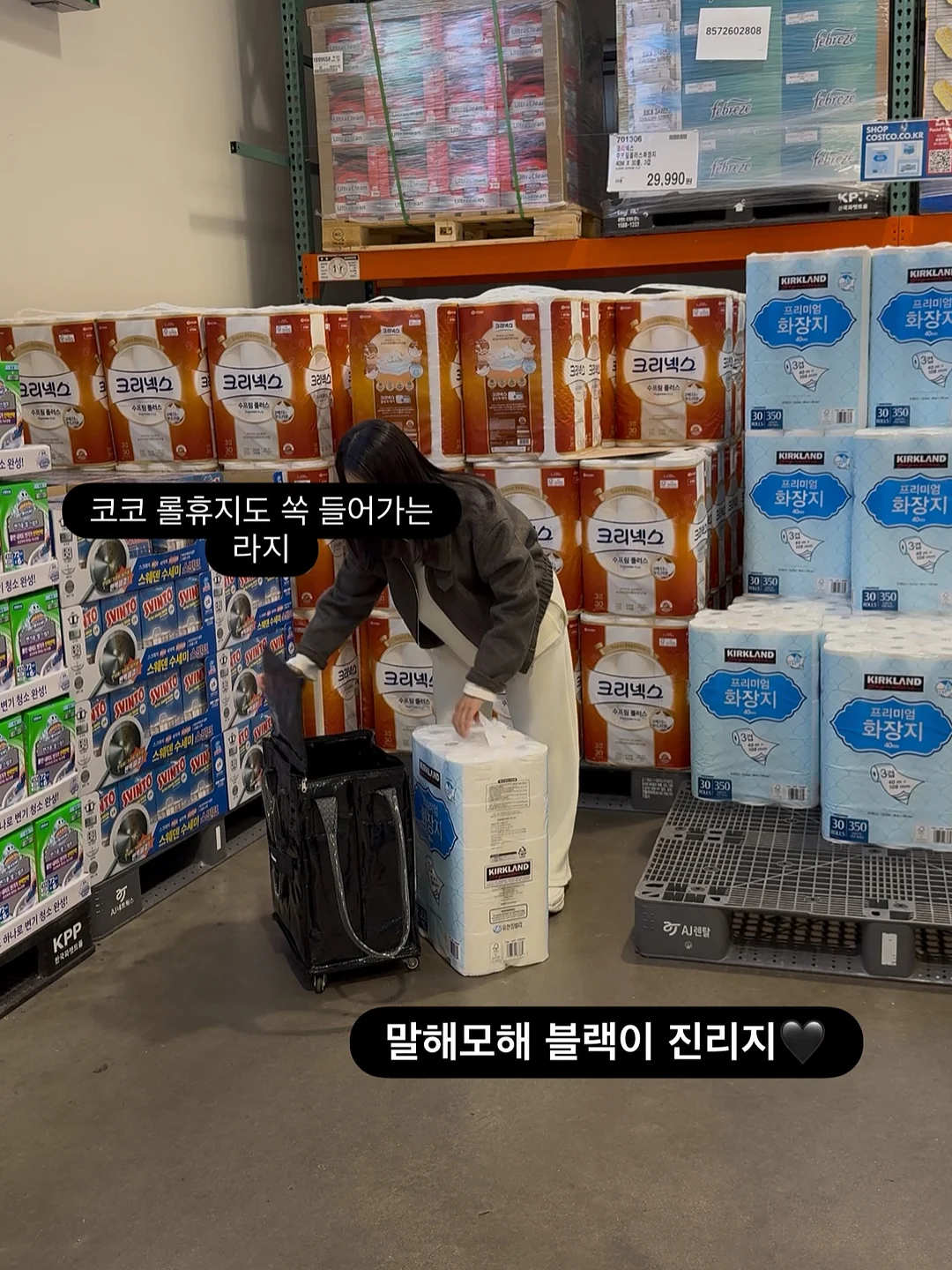 페그벤치 6