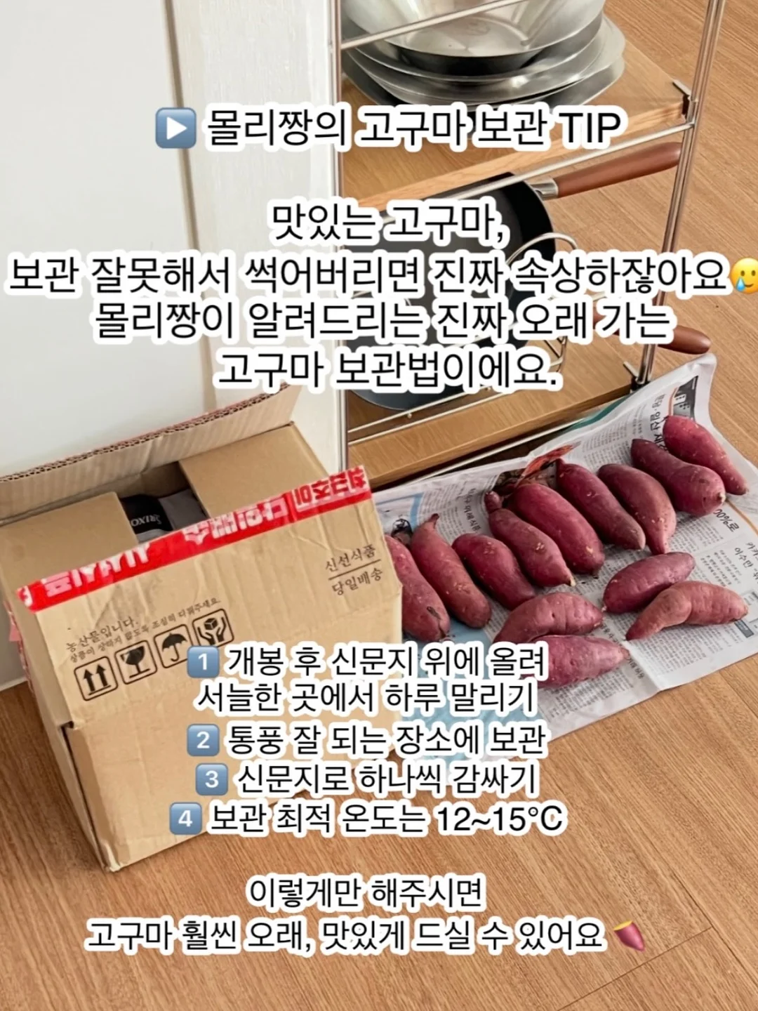 코팅점퍼 디자인 아우터 8