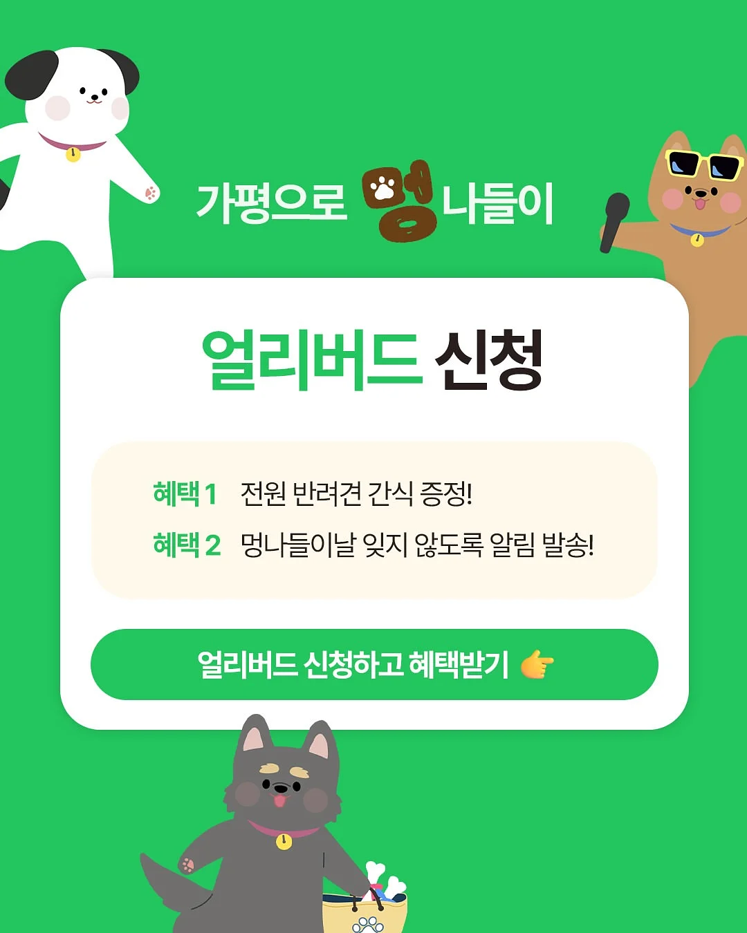 니가드키즈4 카시트 발판 2