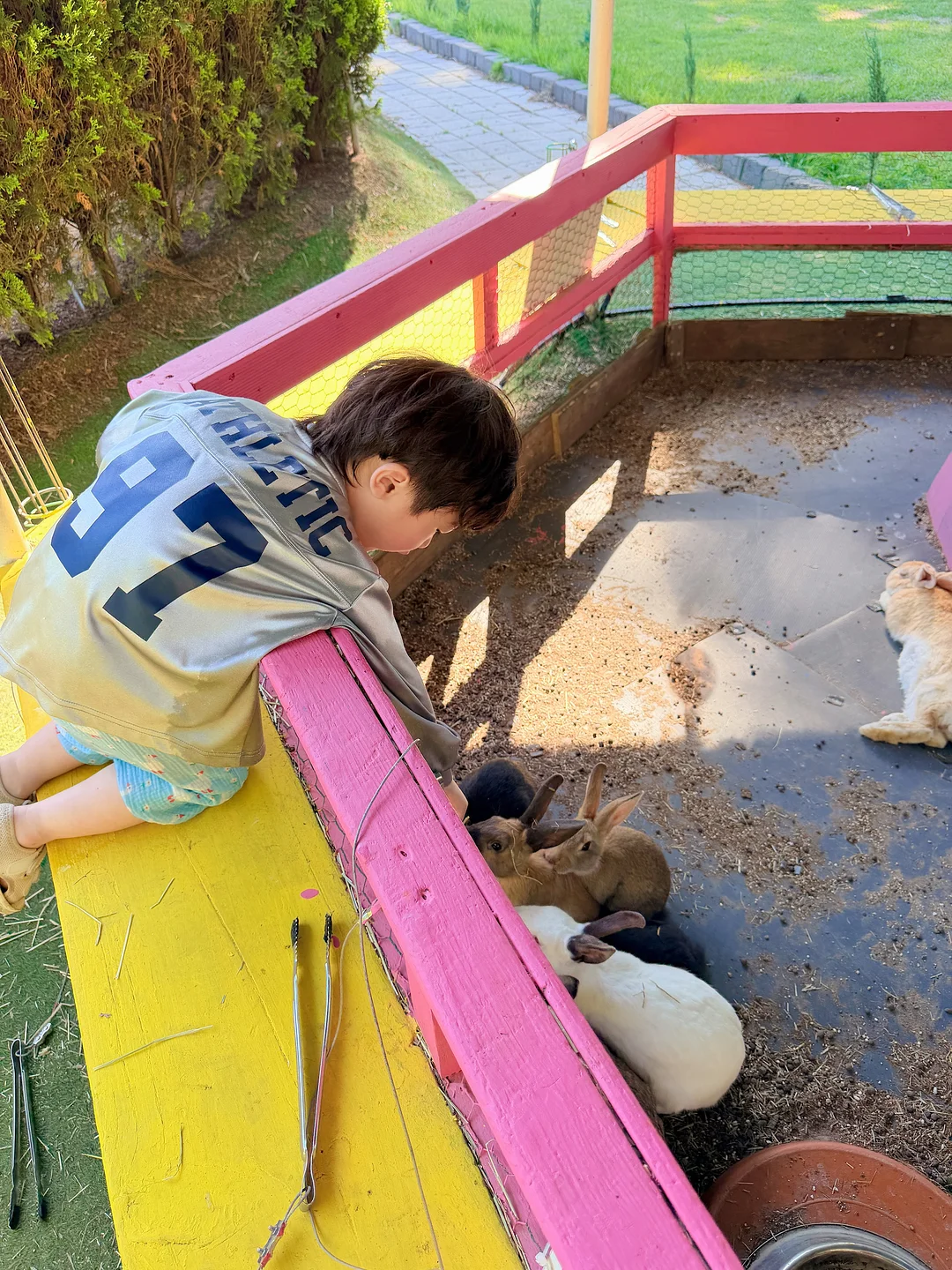 늙기싫다 크림 19