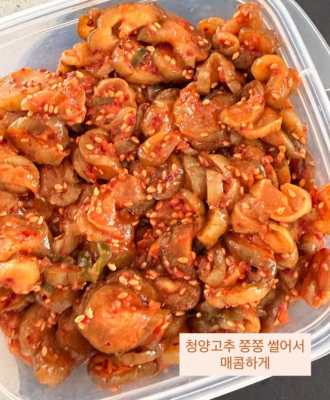 리아마린슈트 11