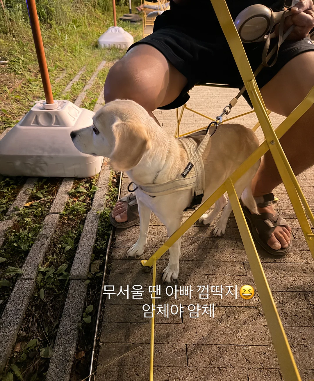 리아마린슈트 13