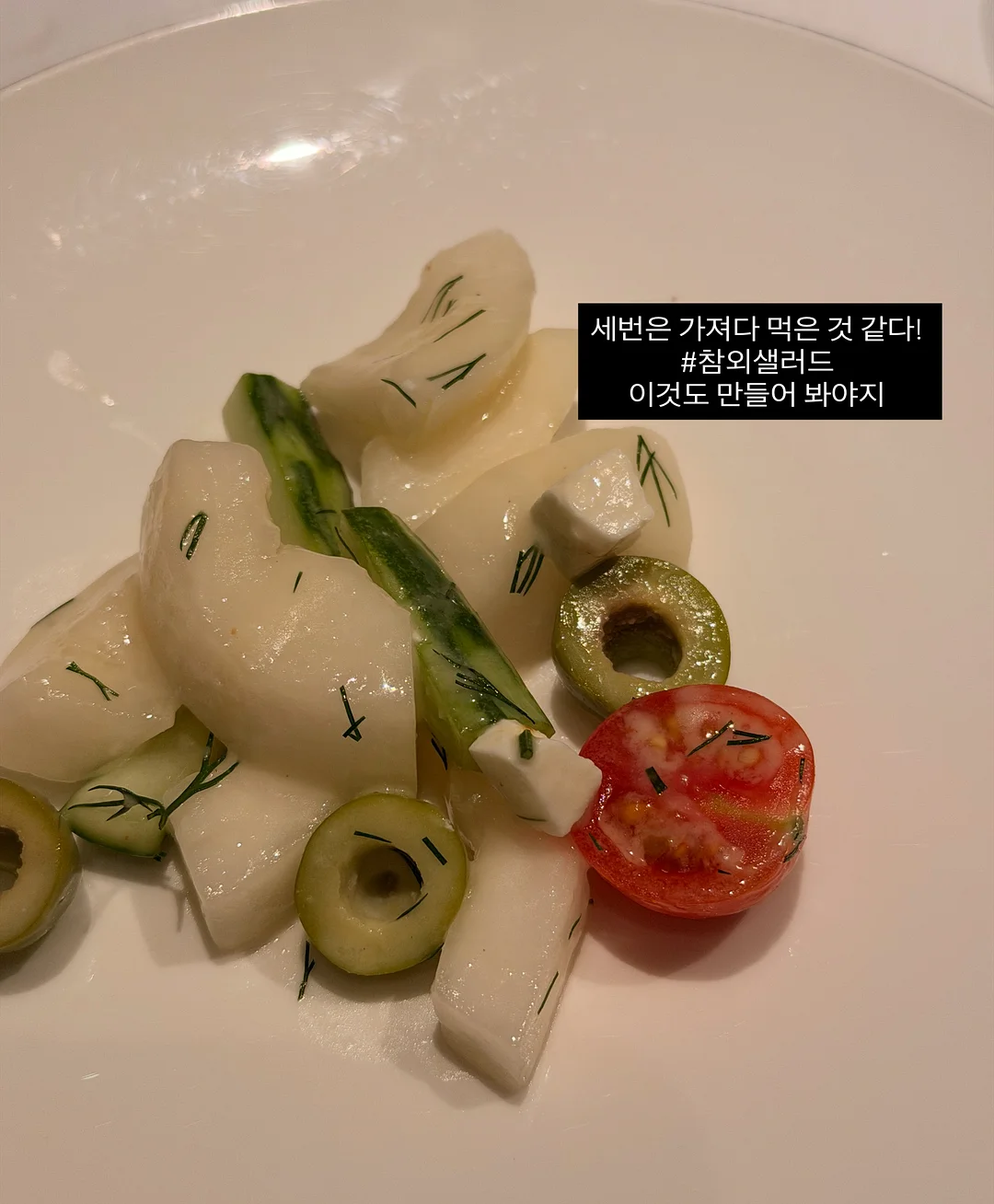 리아마린슈트 5