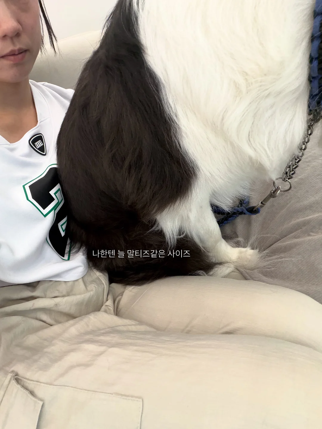 또가스 모기향 케이스 3