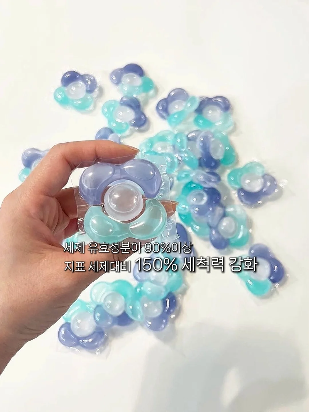 타타미 2