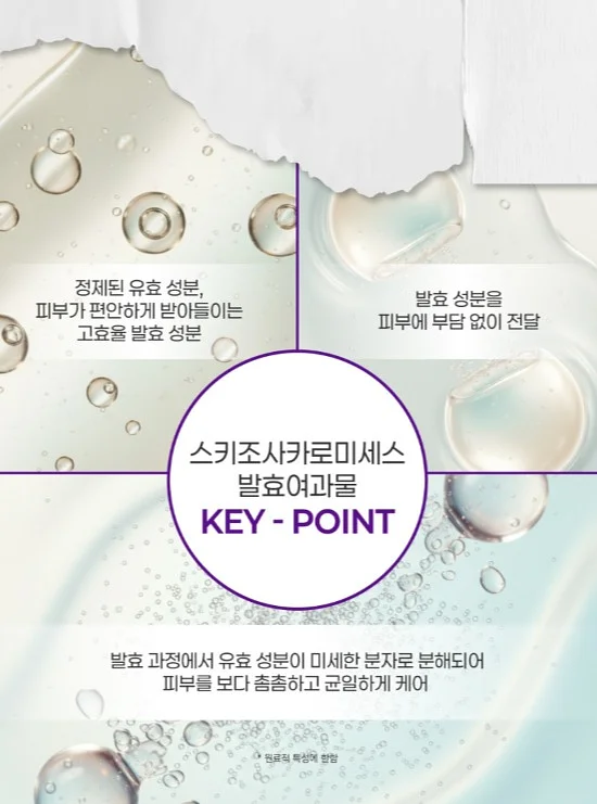압축팩 6