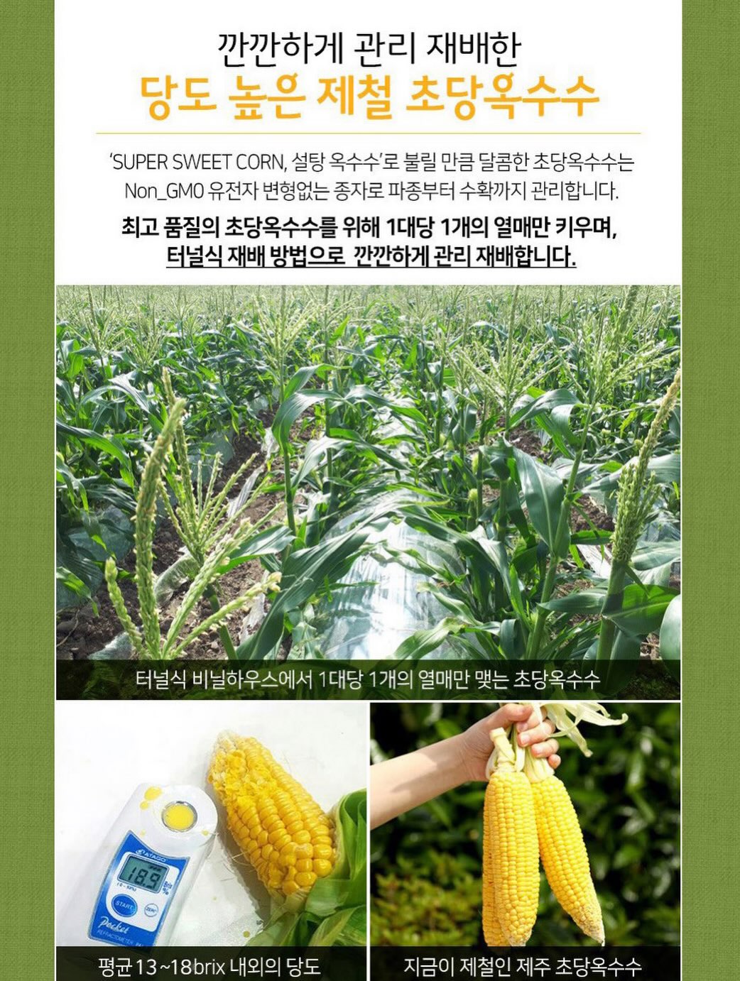 고구마 간식 레시피 11