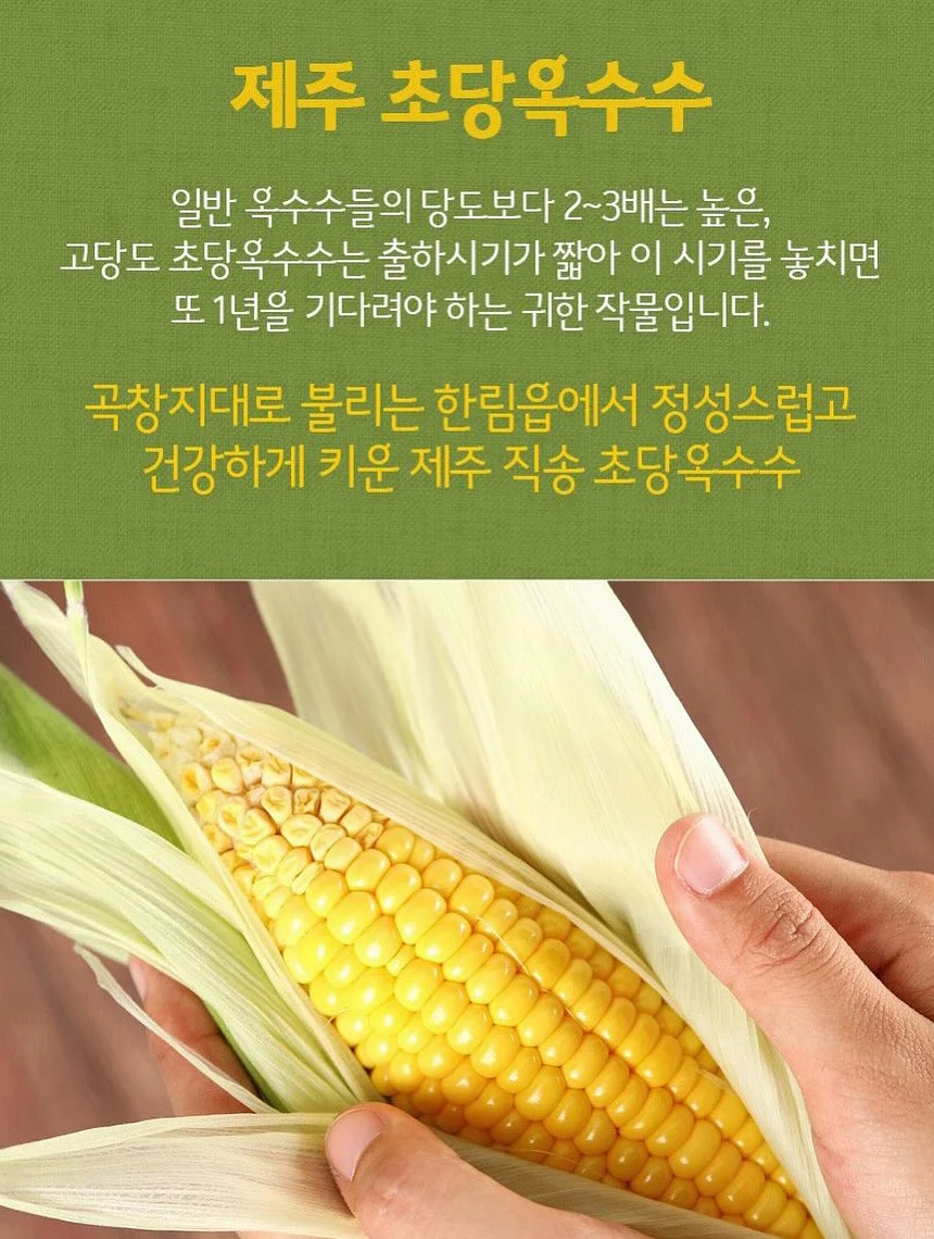 고구마 간식 레시피 12
