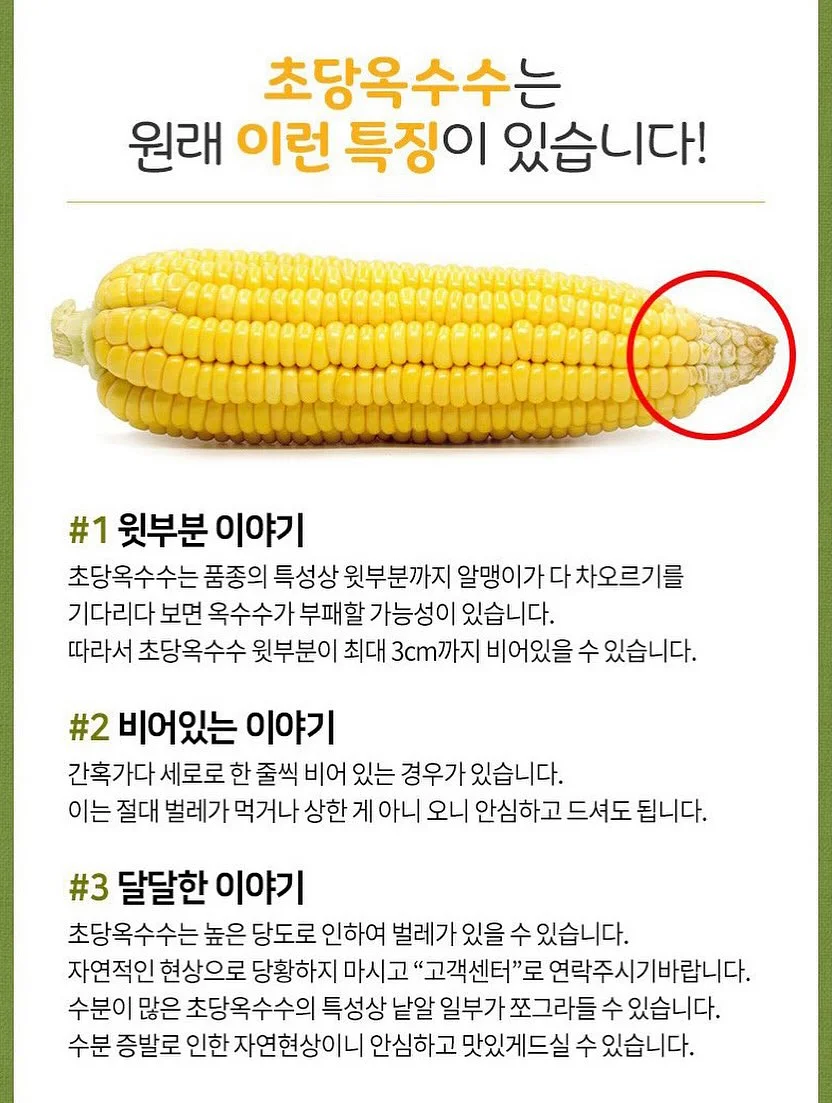 고구마 간식 레시피 13