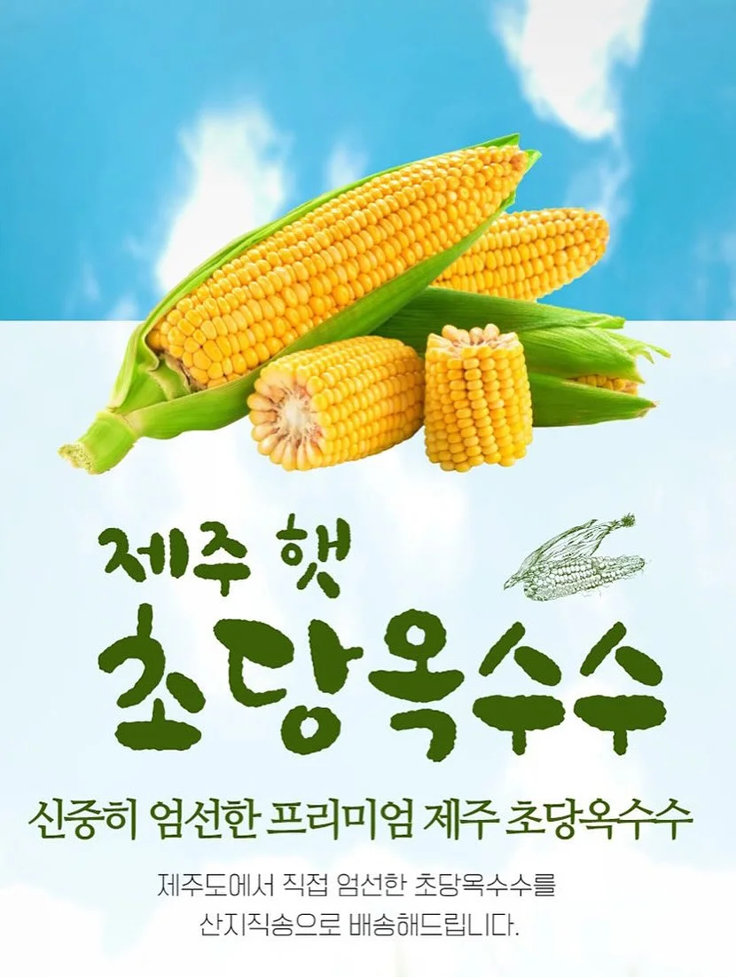 고구마 간식 레시피 15