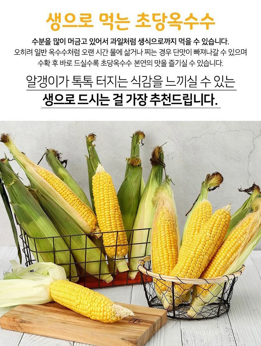 고구마 간식 레시피 10