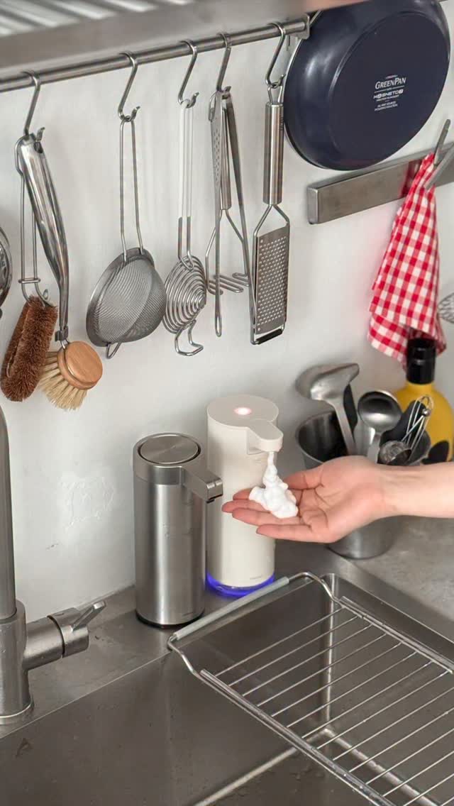 한돈 뽈항정