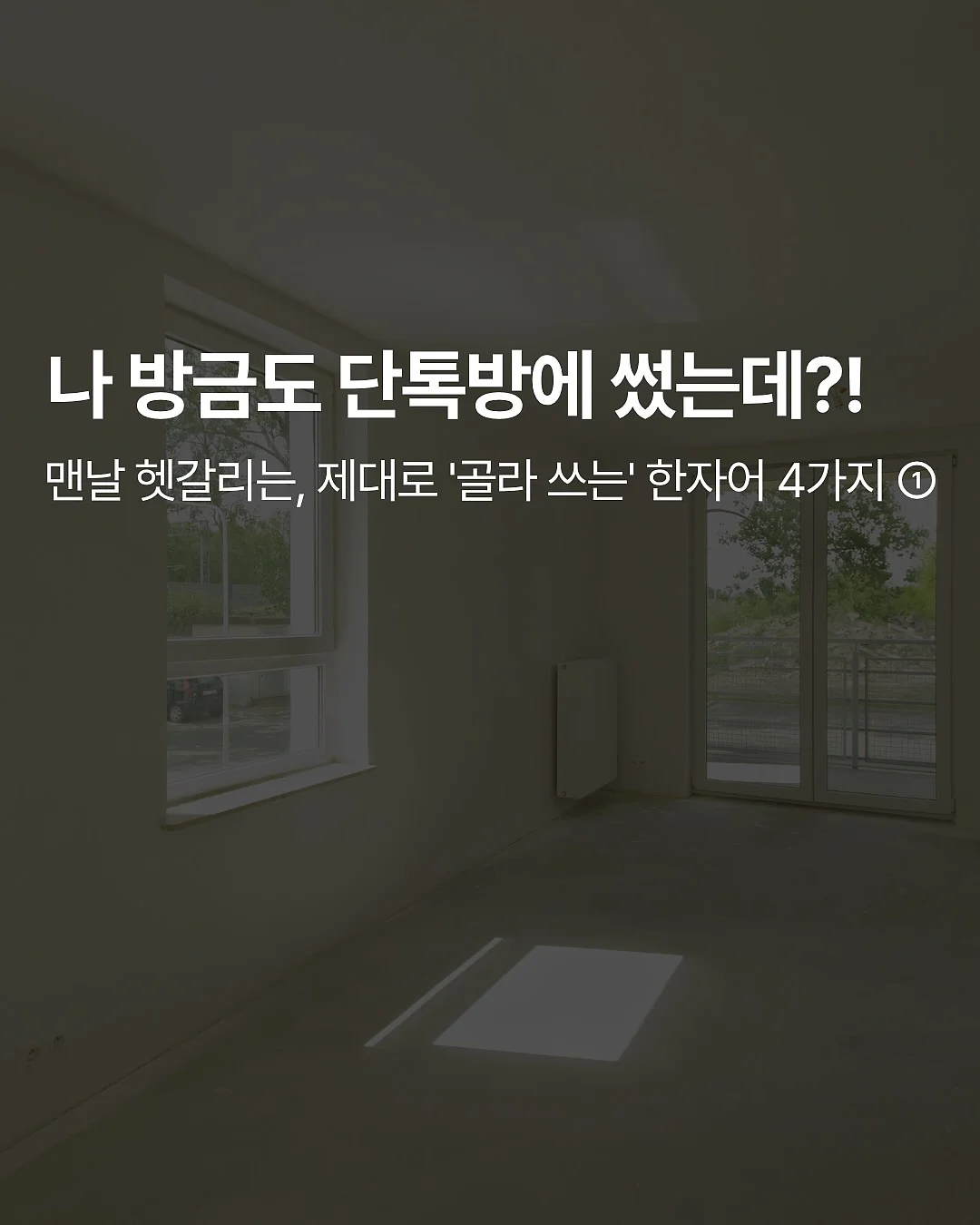 봉긋 백인백 1