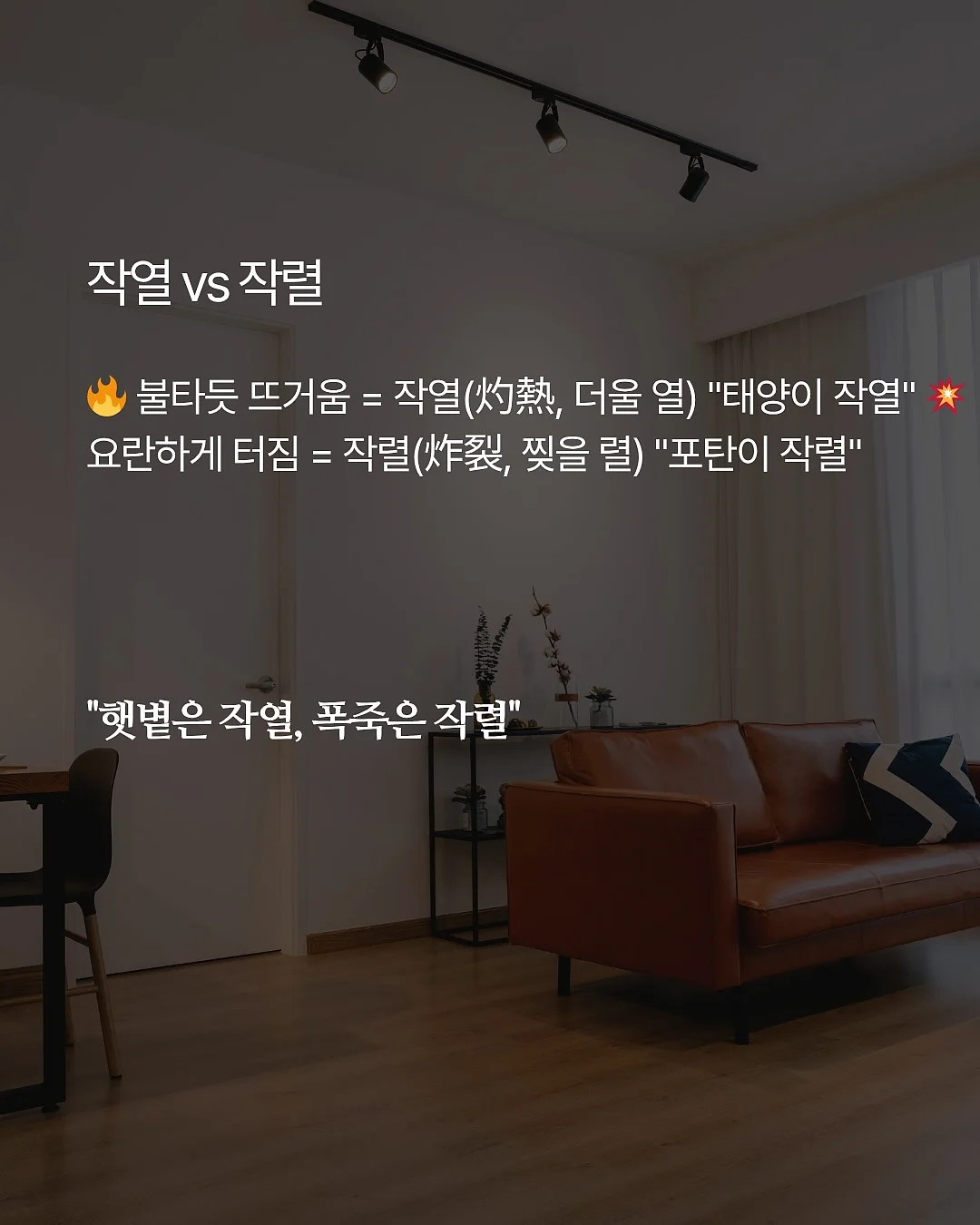 봉긋 백인백 5