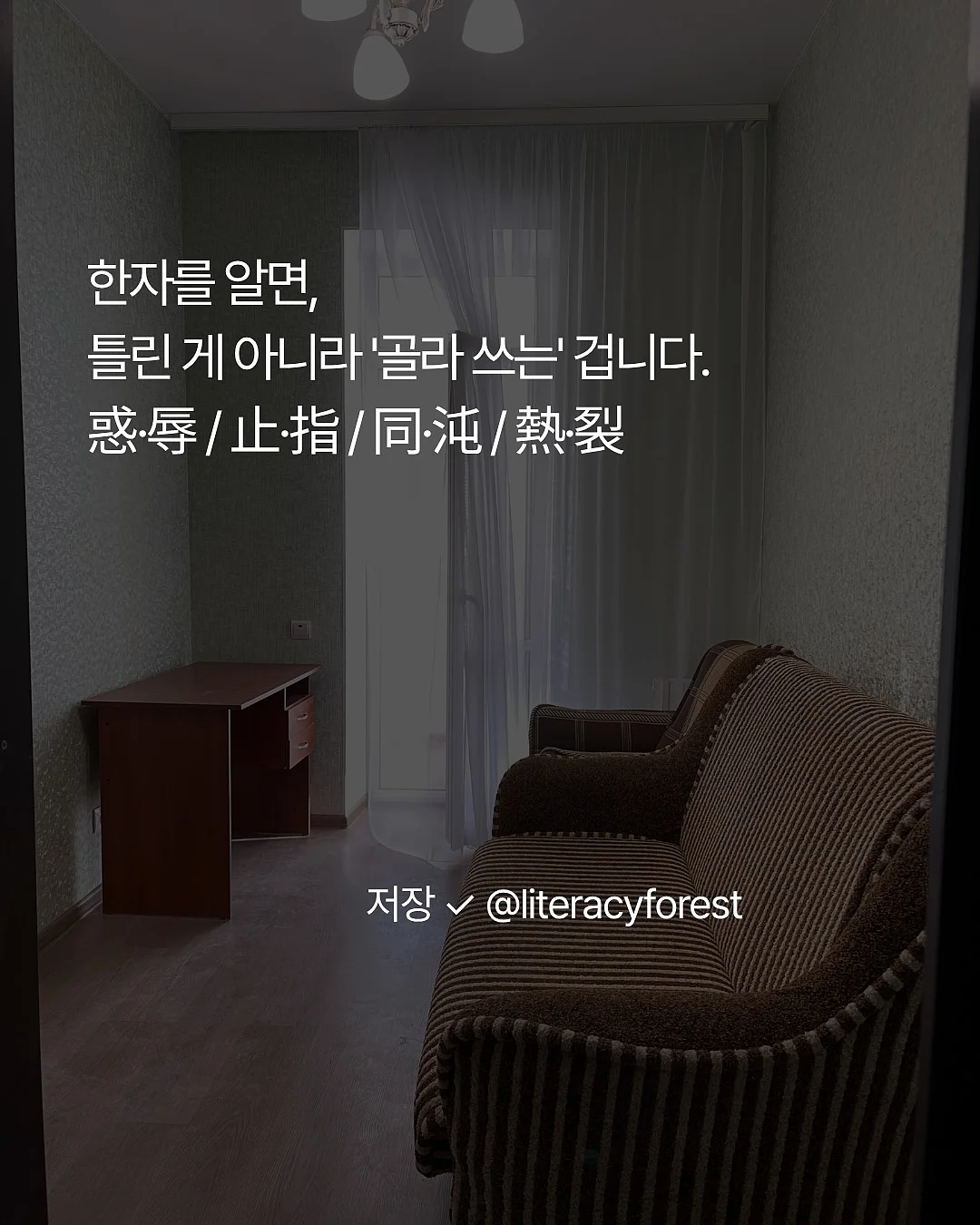 봉긋 백인백 6