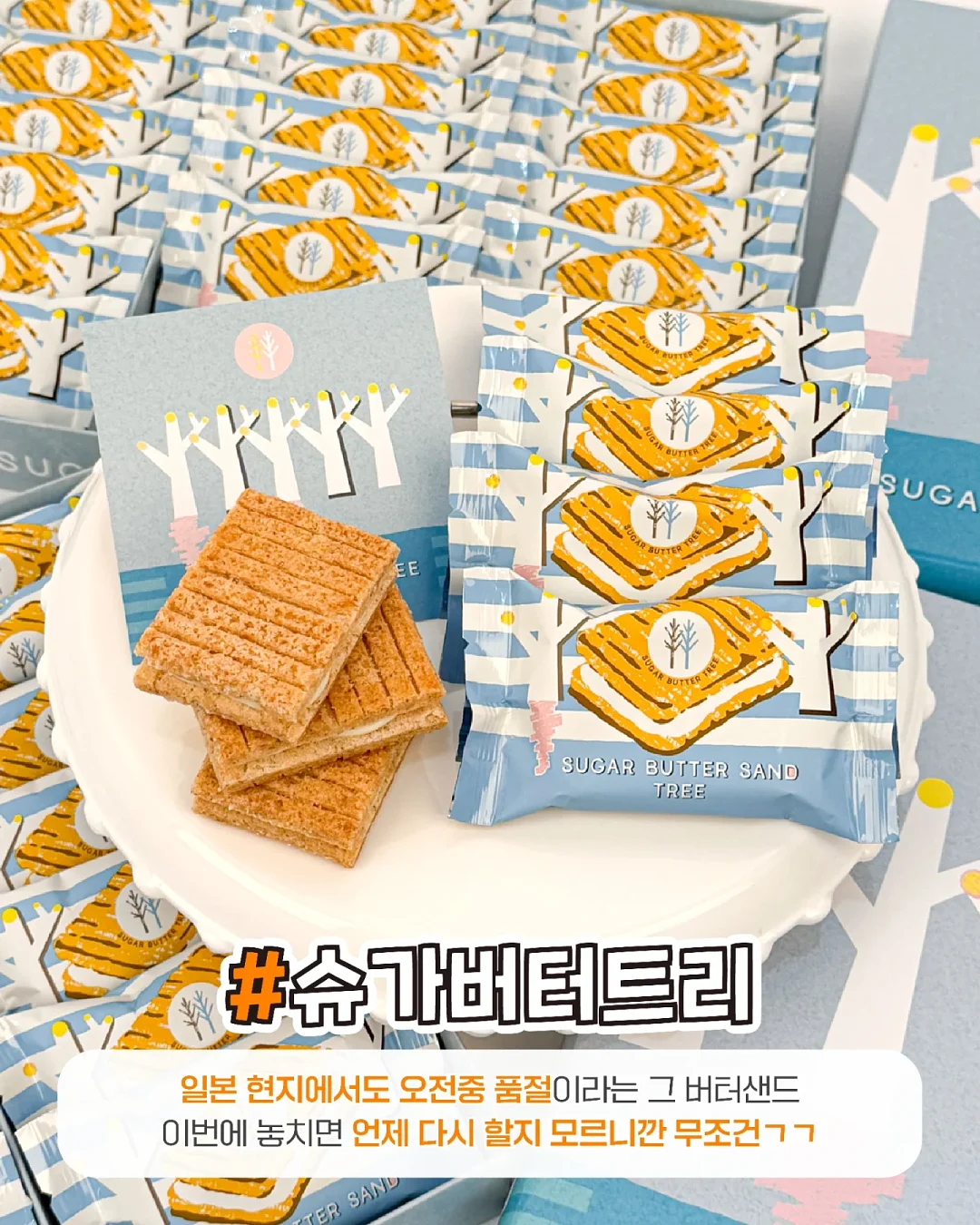백팩 5