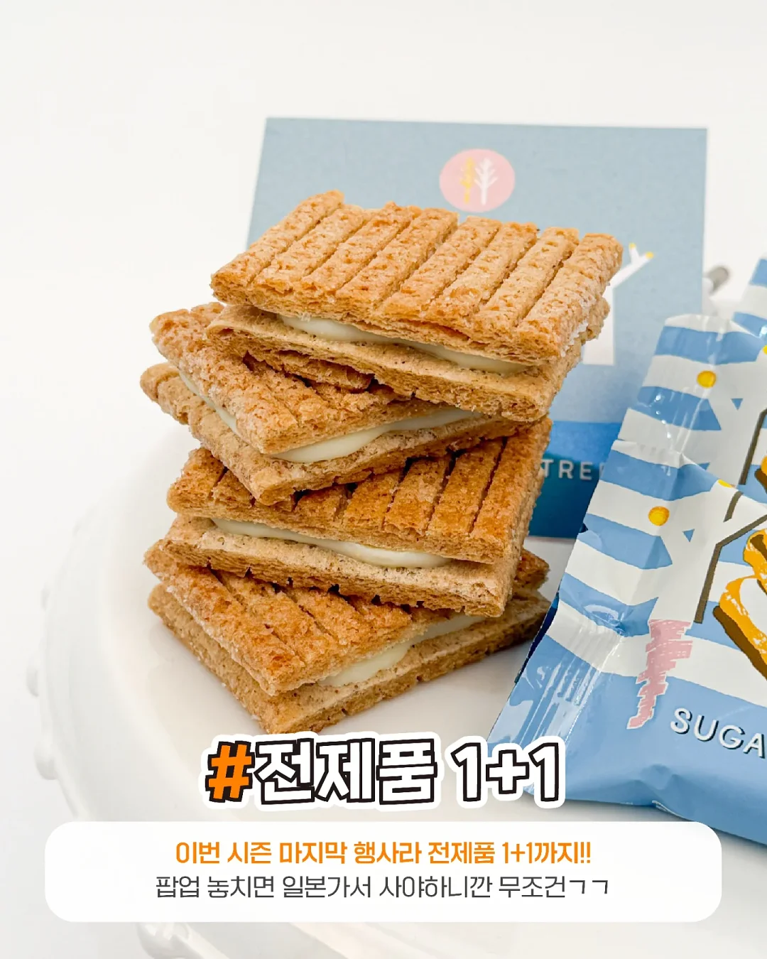 백팩 6
