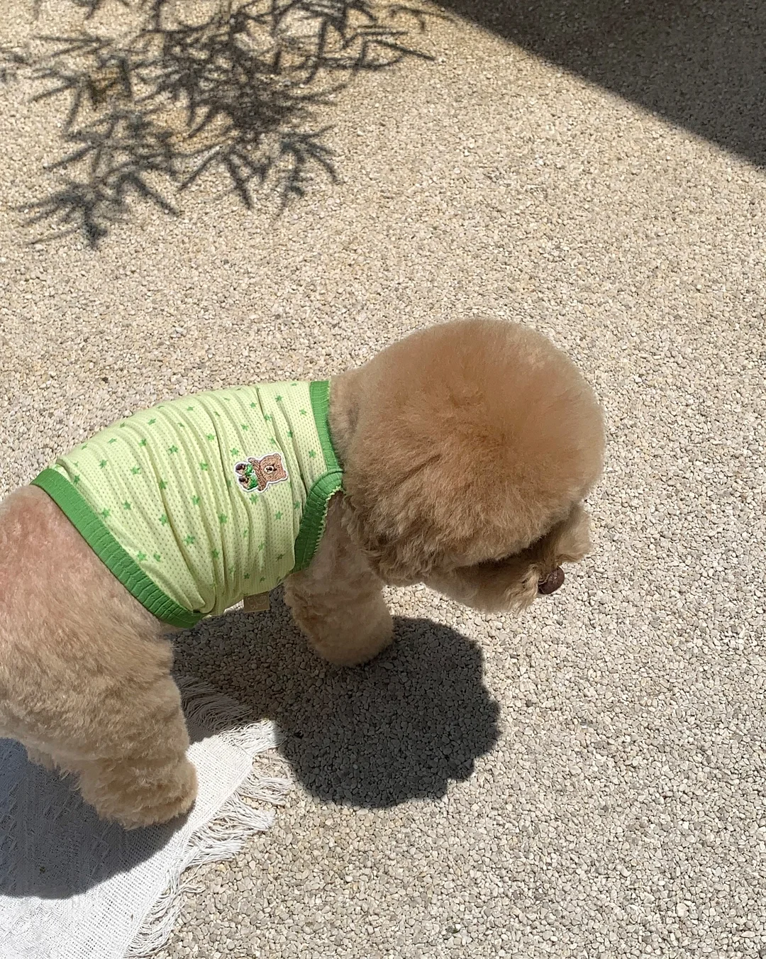 차량용 자동 가림막 13