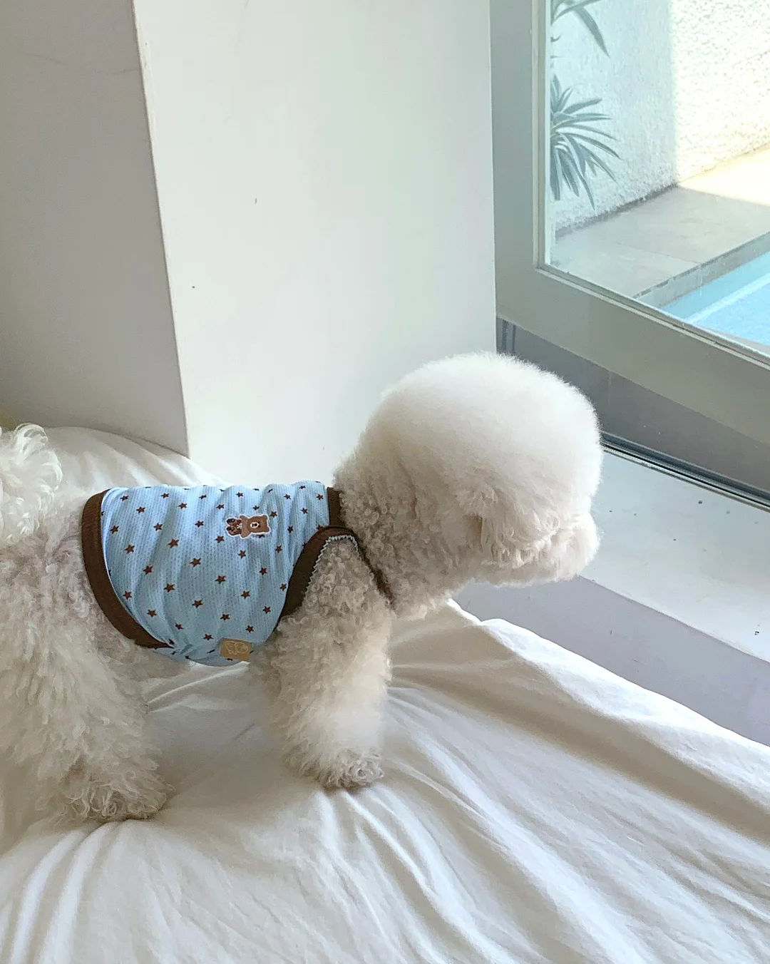 차량용 자동 가림막 8