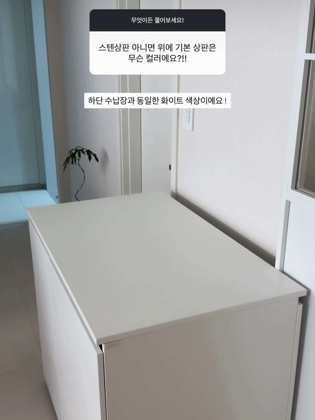 허니와 클로버 컨셉 촬영 14