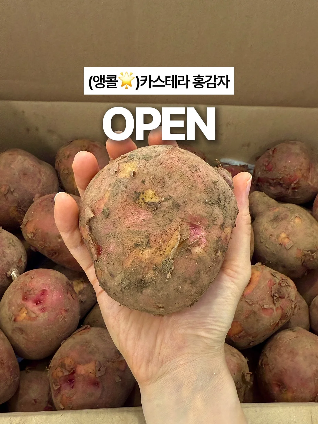 돈 찌는 체질 1