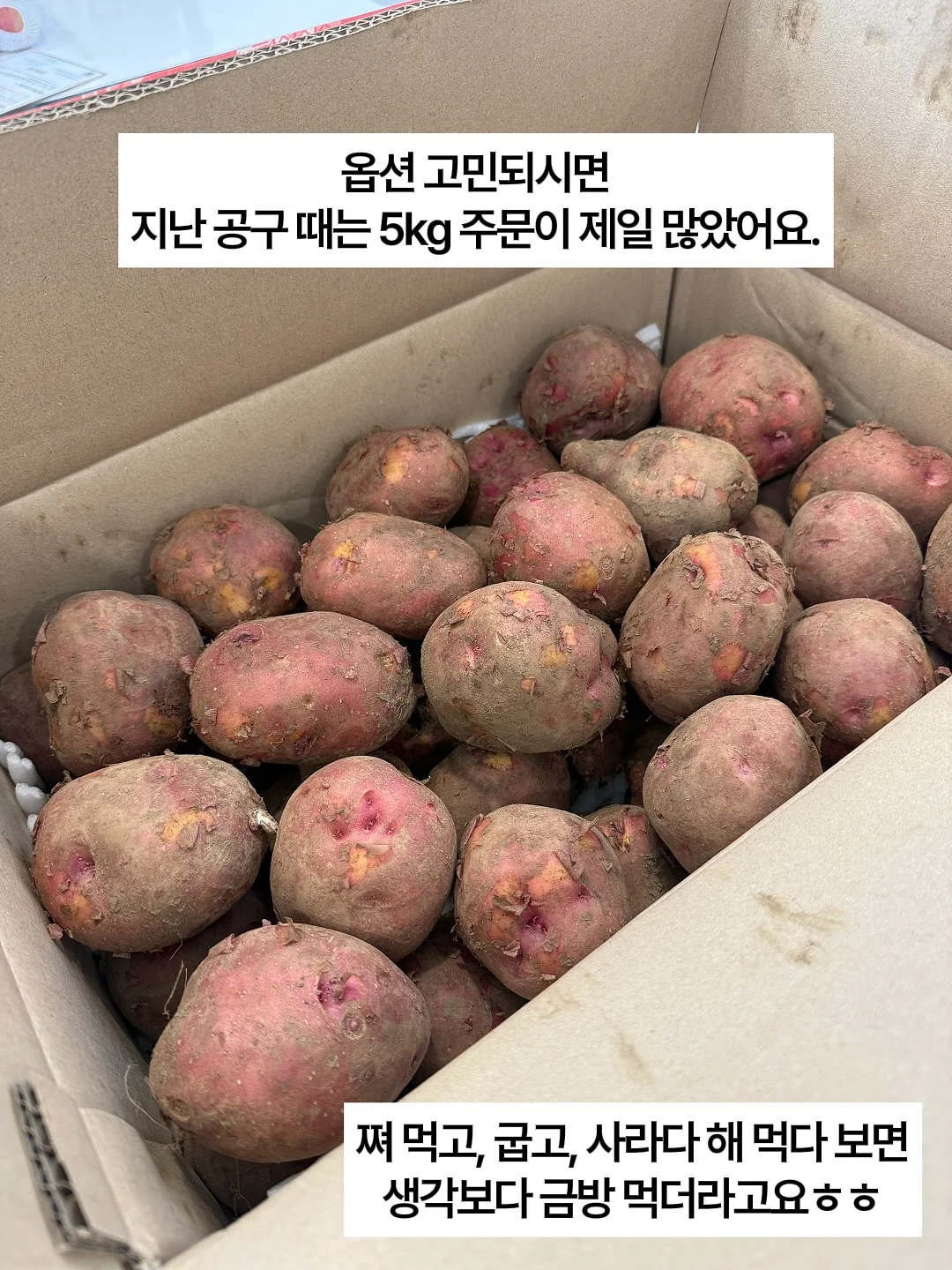 돈 찌는 체질 8