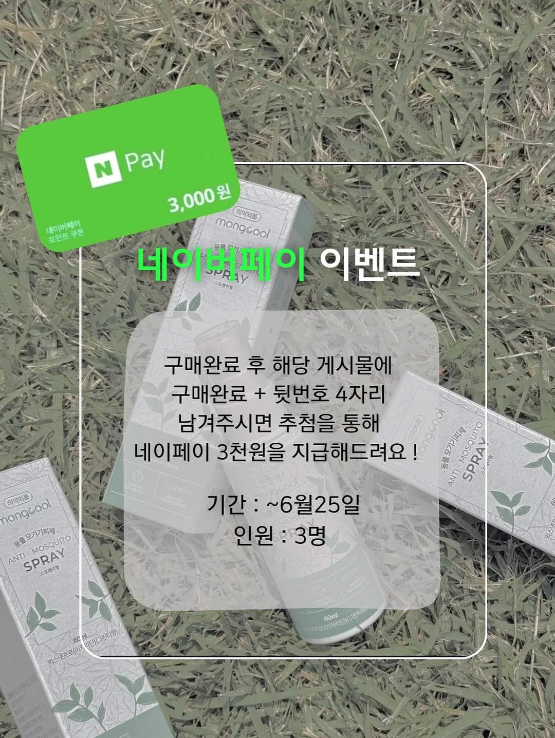 보니토 시그니쳐 set 2