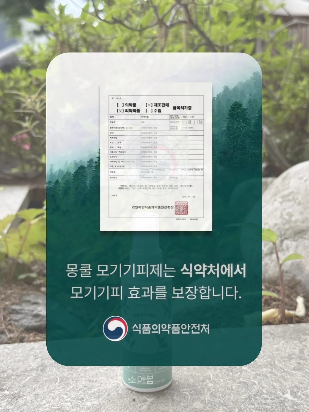 보니토 시그니쳐 set 8