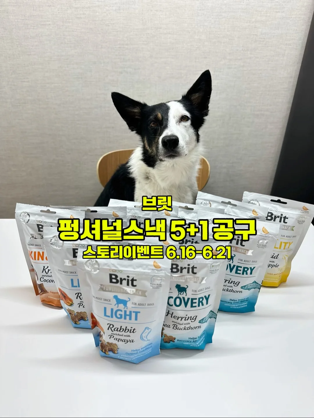 태양광 후방카메라 1