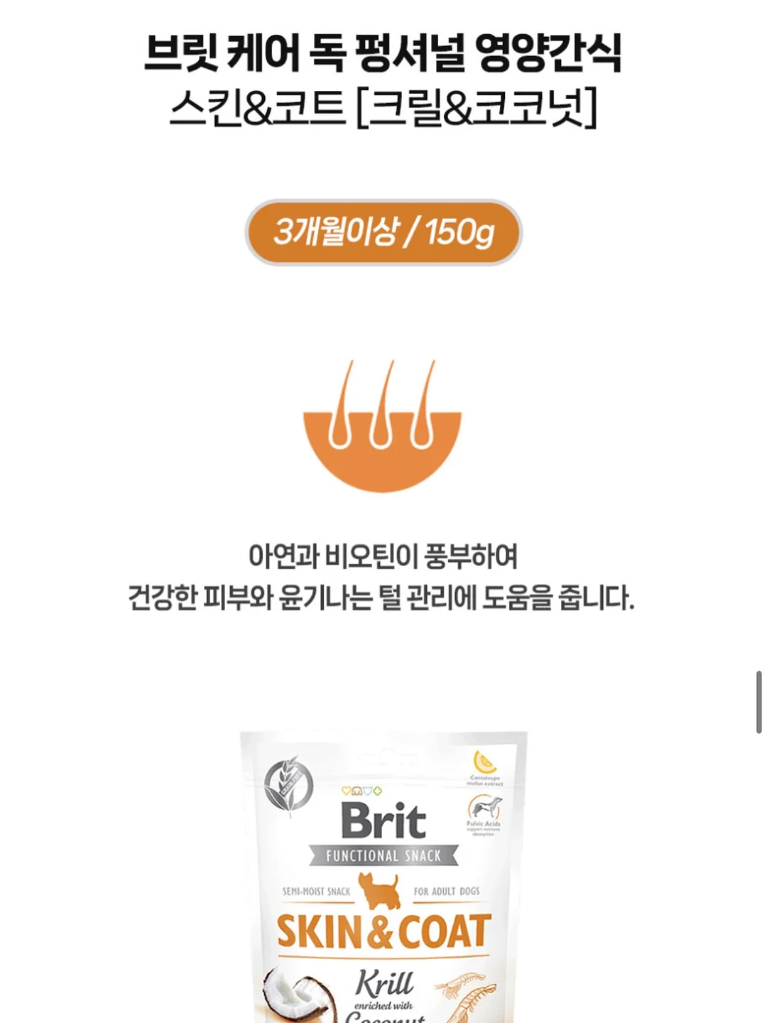 태양광 후방카메라 15