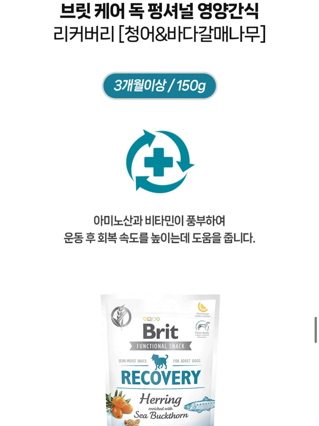 태양광 후방카메라 17