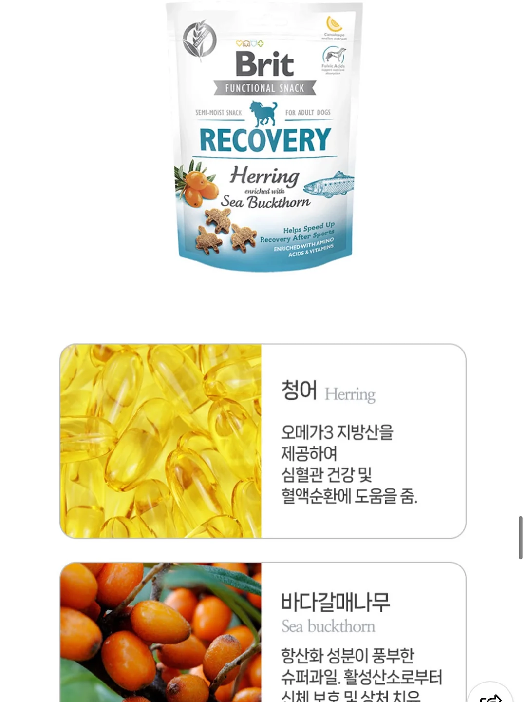 태양광 후방카메라 18