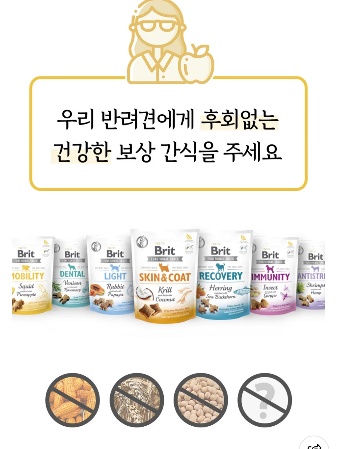 태양광 후방카메라 4