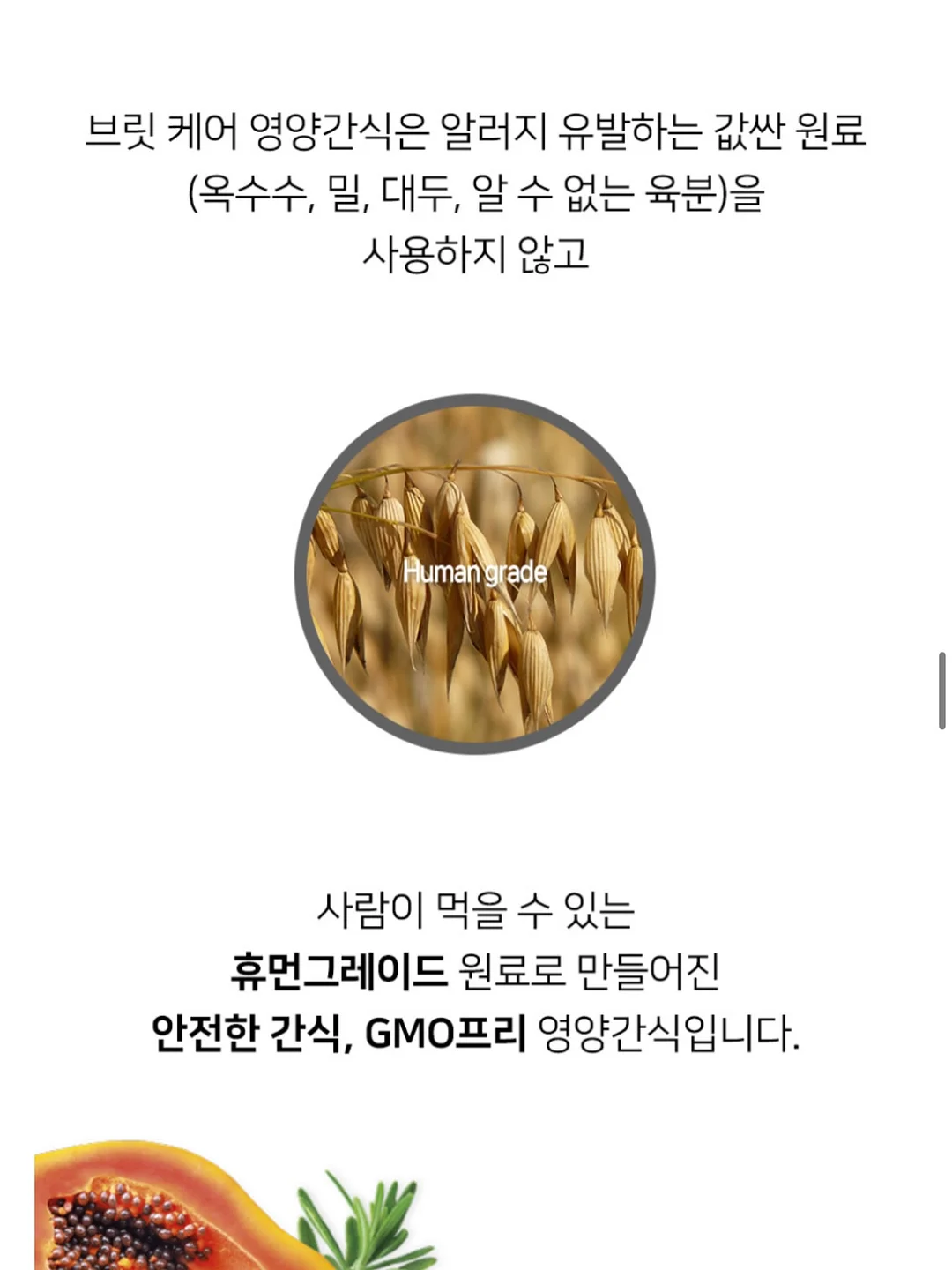 태양광 후방카메라 5