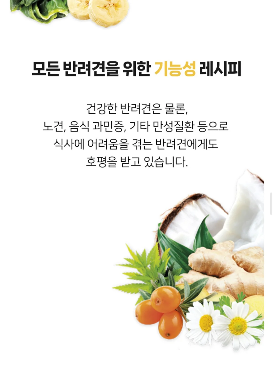 태양광 후방카메라 6