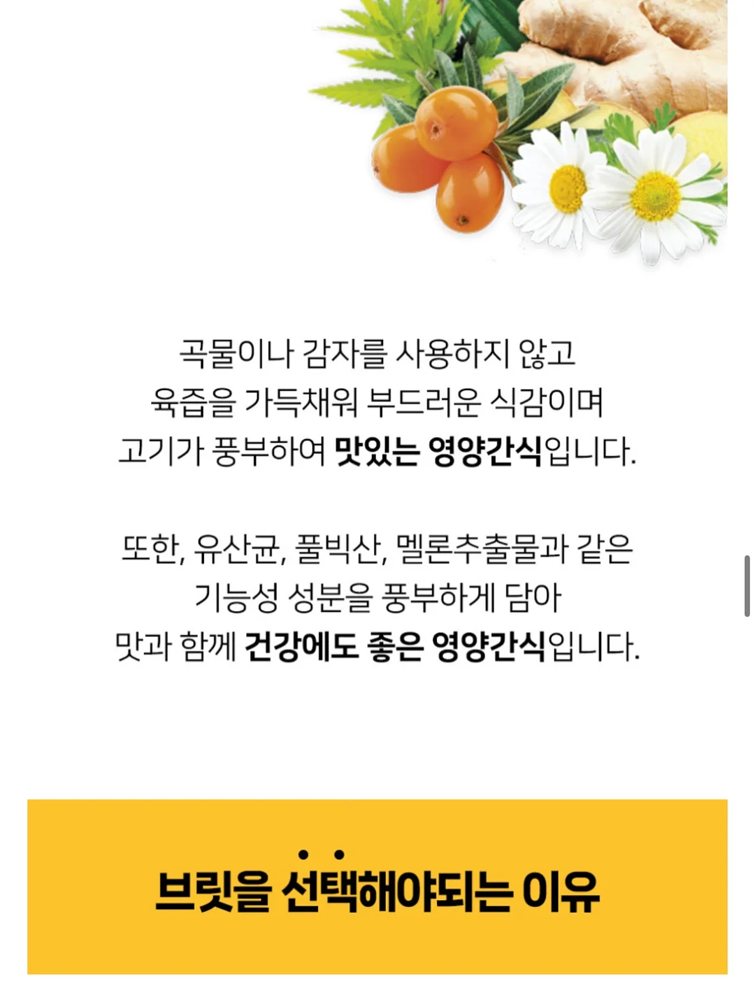 태양광 후방카메라 7