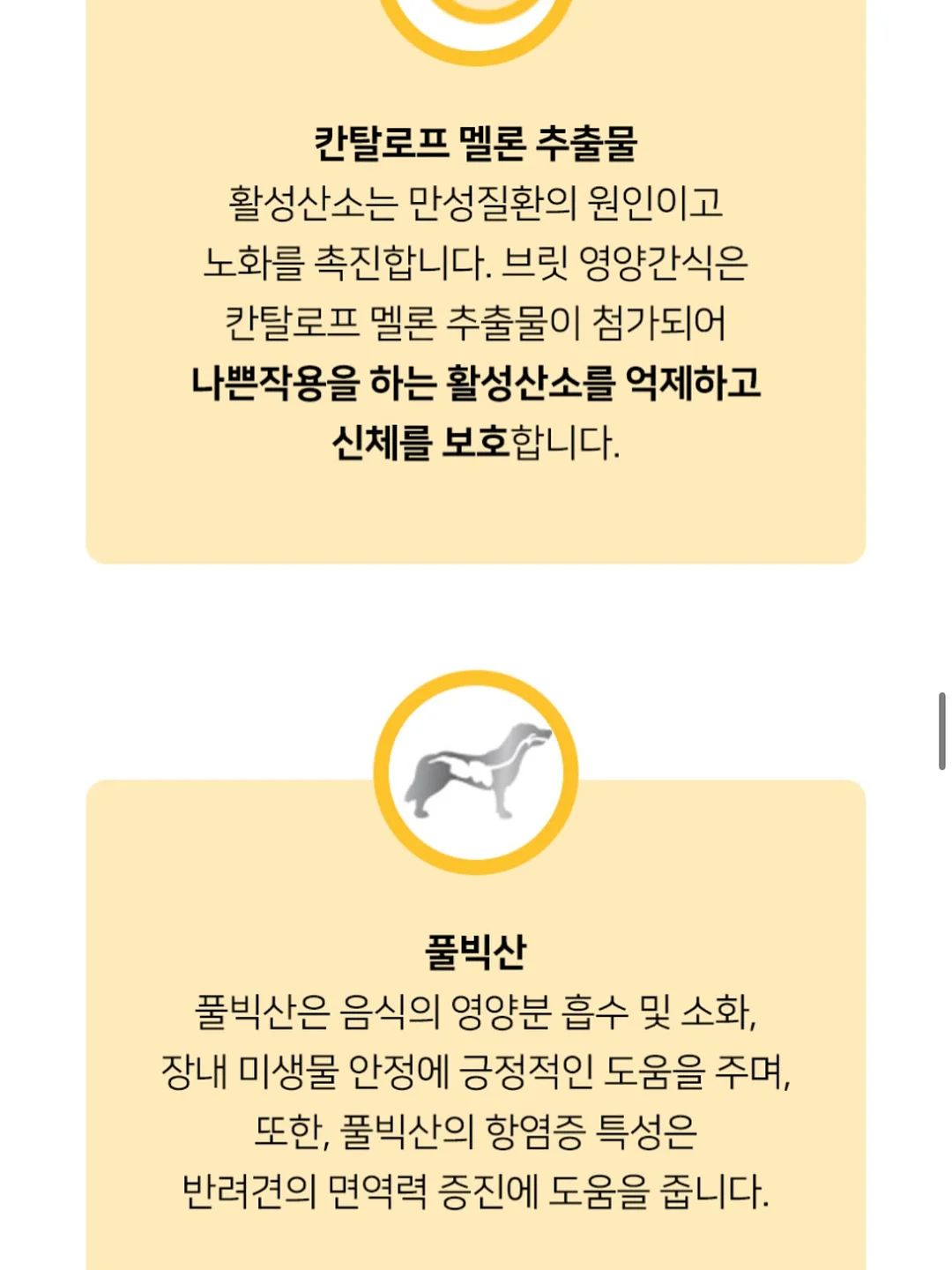 태양광 후방카메라 8