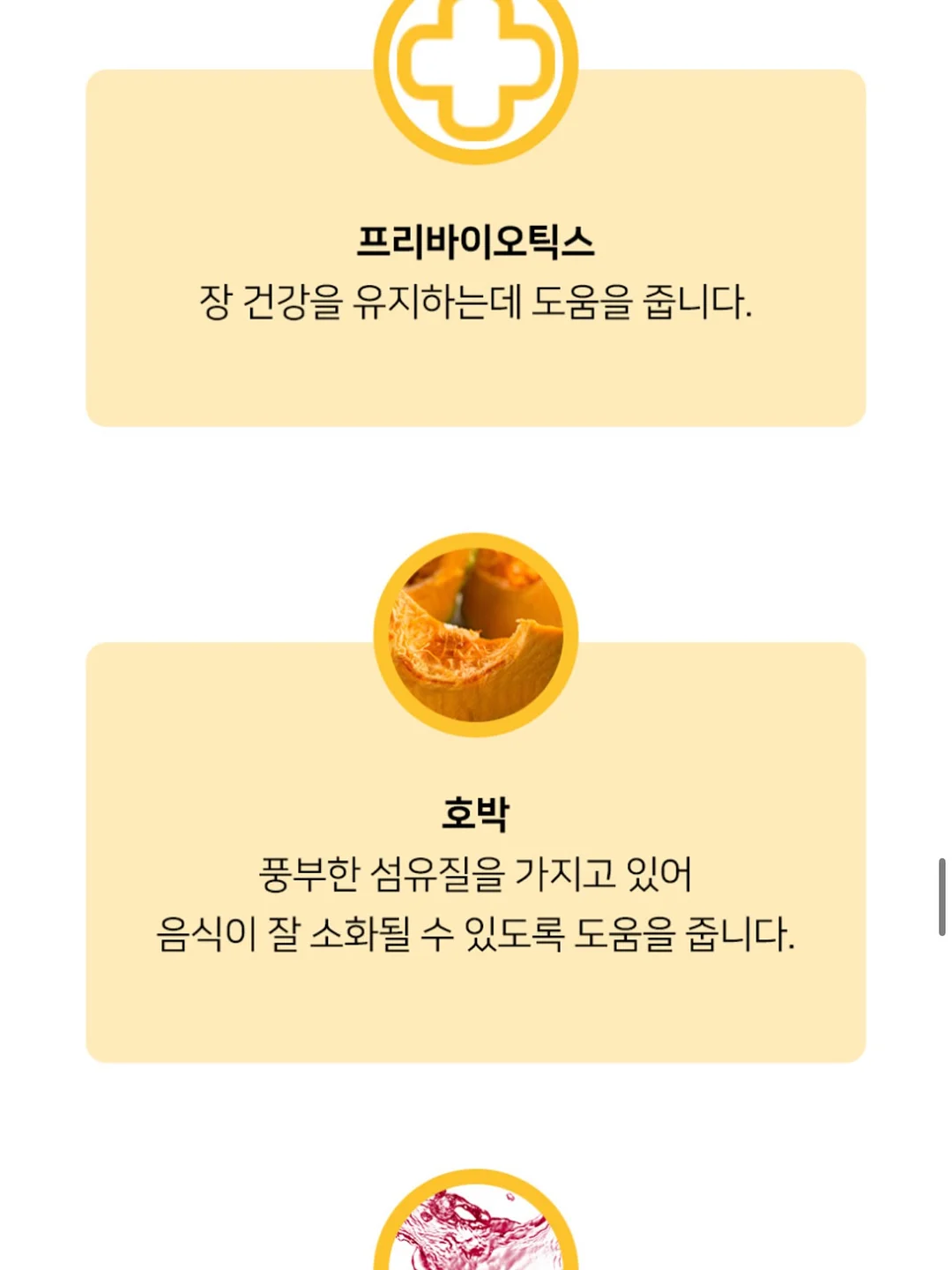 태양광 후방카메라 9