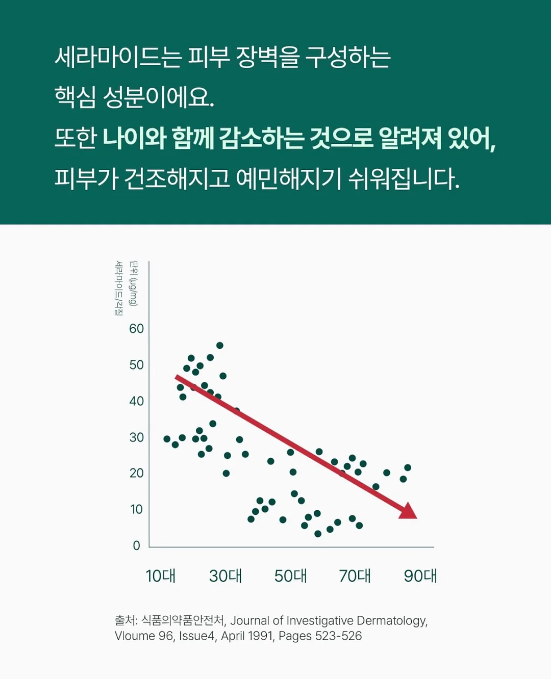 우드포스터 2