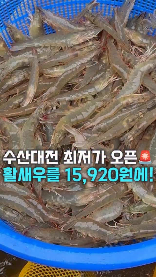 똑게육아 올인원 책