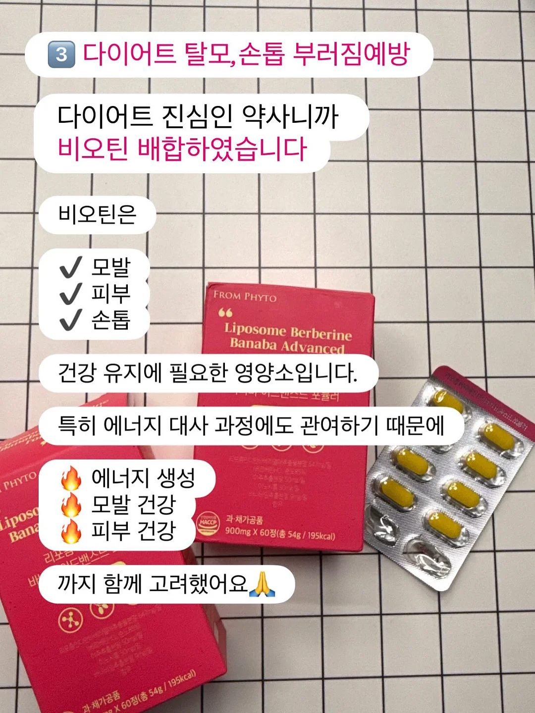 르바세 올드스쿨 시리즈와 럭비 시리즈 6