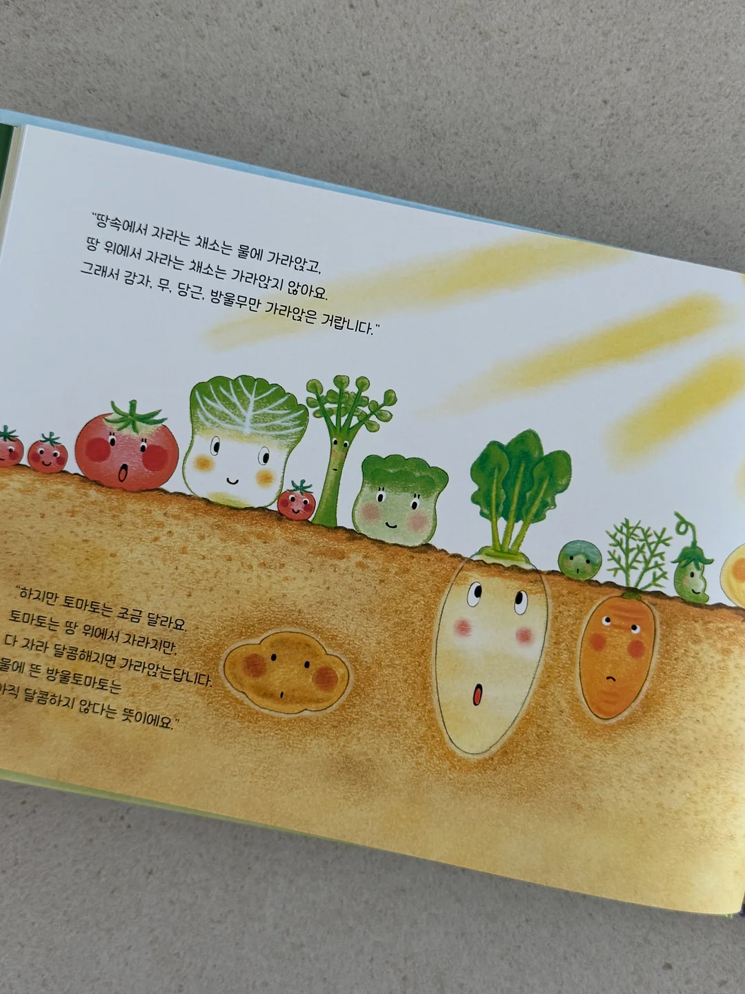 짱셔요 with 슬라임 키위애플 14
